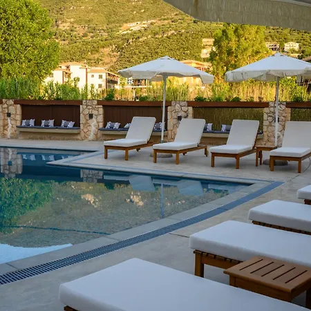 Elisso Hotel Vasiliki